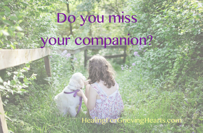 Do you miss your companion? Feeling grief after the loss of a pet is normal. HealingForGrievingHearts.com