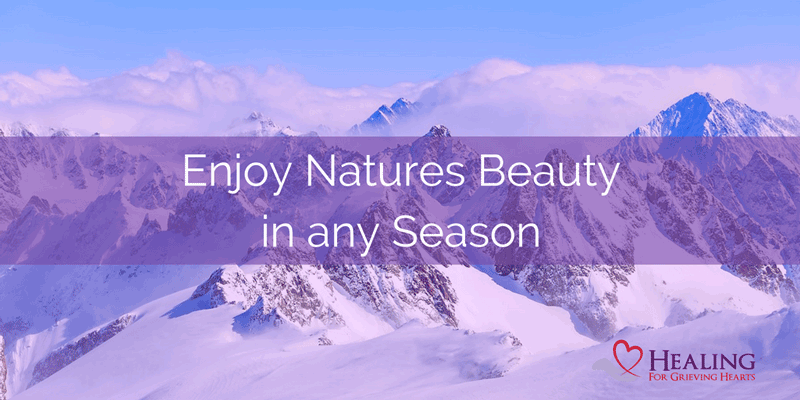Enjoy Natures Beauty in any Season. - HealingForGrievingHearts.com