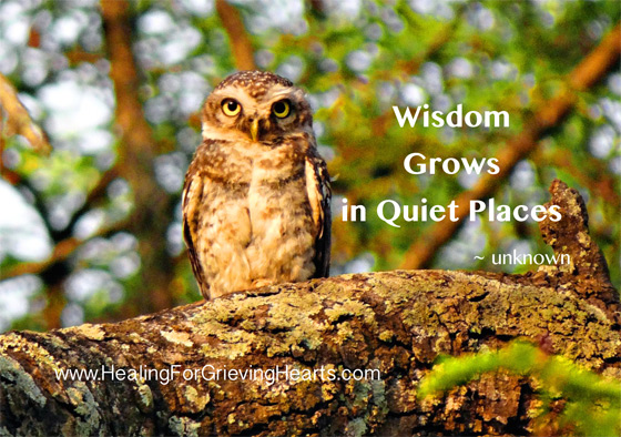 Wisdom Grows in Quiet Places - unknown / HealingForGrievingHearts.com