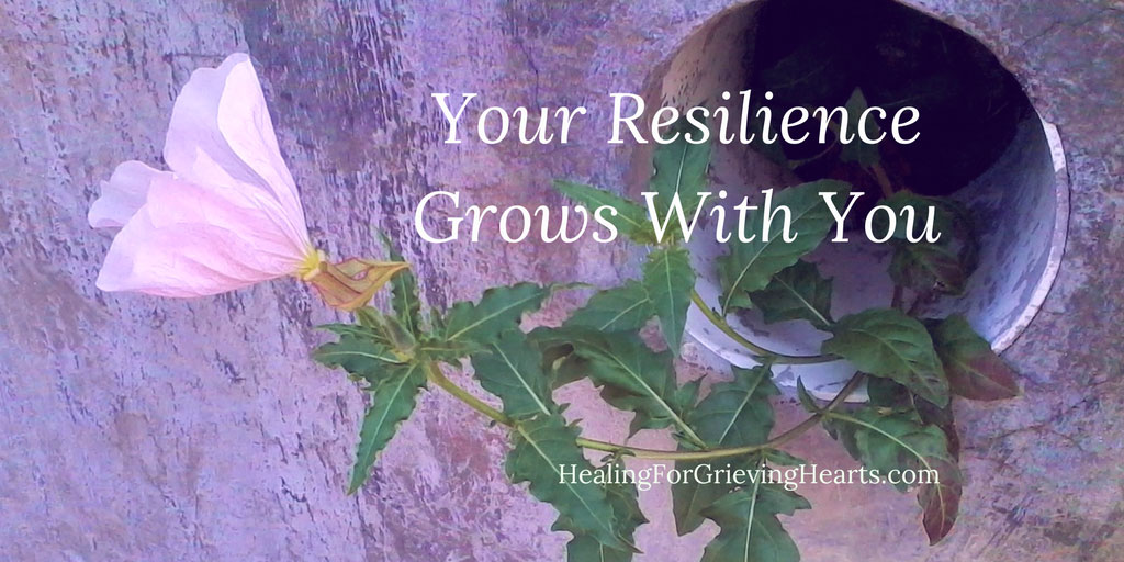 Your-Resilience-Grows-With-You-Healing-For-Grieving-Hearts